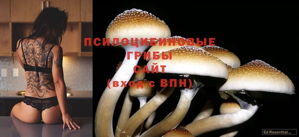 экстази Переславль-Залесский