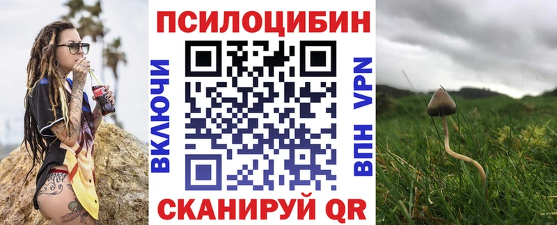 Псилоцибиновые грибы Psilocybine cubensis  даркнет сайт  Владивосток 