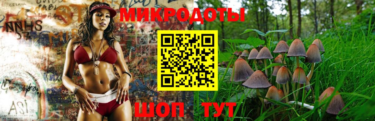 Галлюциногенные грибы Psilocybine cubensis  Владивосток  Псилоцибиновые грибы Cubensis 