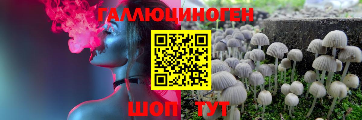 Псилоцибиновые грибы ЛСД Владивосток